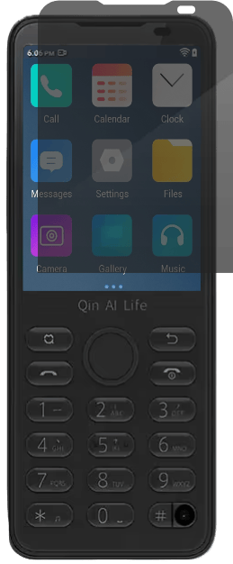 Privacy Screen Protector - Qin F21 Pro/F30